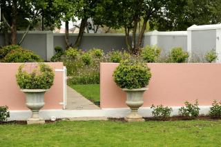 The Fancy Cactus - Colesberg - 4