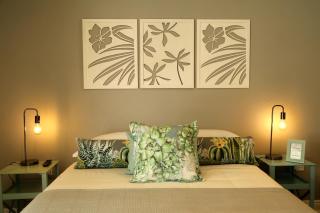 The Fancy Cactus - Colesberg - 3