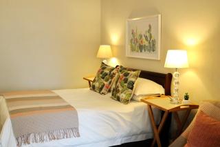 The Fancy Cactus - Colesberg - 2