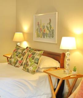 The Fancy Cactus - Colesberg - 1
