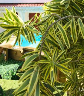 Uta House Sainte-Anne - 5