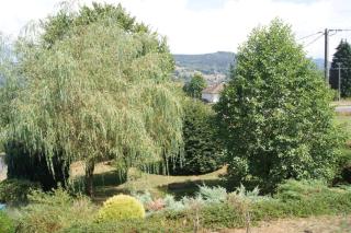 Lullaby House - Large, full comfort 5 star chalet house in the Vosges - Ramonchamp - 7