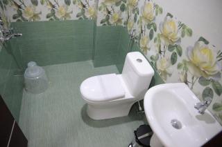 Dream Castle - Munnar - 4