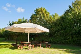 Holiday Inn Taunton M5, Jct25 by IHG - Taunton - 6