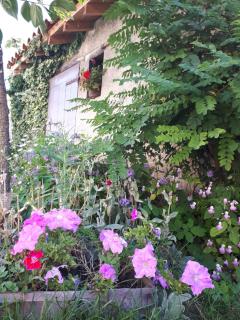 L'Orme-Vial - Saint-Galmier - 8