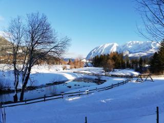 Ferienwohnung Fuchs - 6