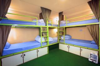 Big Tree Hostel - Kathmandu - 7