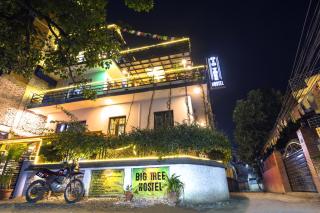 Big Tree Hostel - Kathmandu - 0