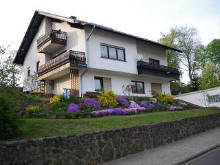 Pension Haus Ludwig - Schotten - 7