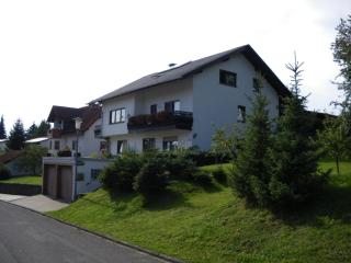 Pension Haus Ludwig - Schotten - 4