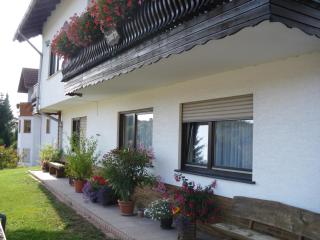 Pension Haus Ludwig - 6