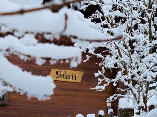 Chalet Solaria 2 bedrooms with mountain and garden view - Zweisimmen - 6
