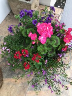 Gwynarth Guest House - 1