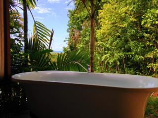 Noah Creek Eco Huts - Cape Tribulation - 5