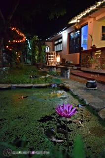 Elephant Lovers Inn - 1