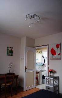 Le Moulin Garnier - Vernou-sur-Brenne - 9