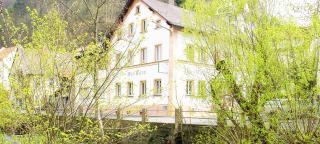 Hotel Haus Bauer - Bad Berneck im Fichtelgebirge - 8