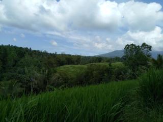 Dina Home Stay at Desa Wisata Wongayagede - 3