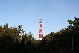 Amelander Kaap 109 - Hollum - 6