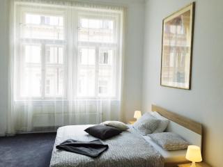 VIP city CENTER apartment Prague - Prague - 1