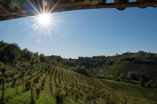 Cascina Allegria - Castelnuovo - 7