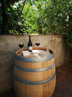 La Maison Grenadine près du canal du midi - Tourouzelle - 2