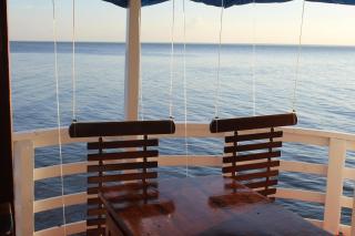 Selvagem Tours - 9