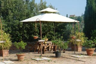 Giaggiolo - Poggibonsi - 5