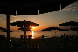 Club del Sole Stork Family Collection - 4