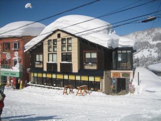 Lodge Nakajima - Nozawa Onsen - 0