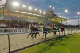 Holiday Inn Wolverhampton - Racecourse by IHG - Wolverhampton - 3