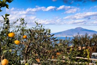 Villa il Cacciatore - Sorrento - 6