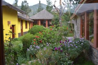 Miskiwasi Bed & Breakfast - Yanque - 7