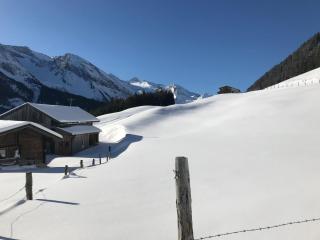 Haus Schlechter - Mayrhofen - 8