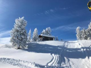 Haus Schlechter - Mayrhofen - 7