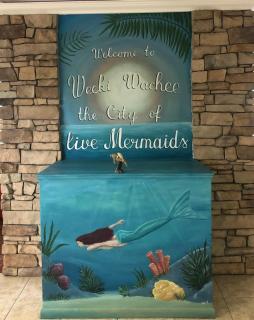 Bonne Nuit Weeki Wachee - Weeki Wachee - 3