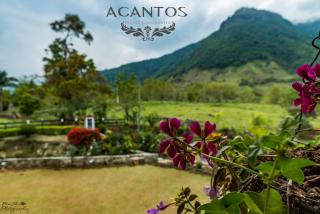 Acantos Hotel Campestre - Támesis - 2