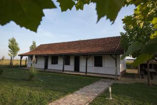 Rooms with a parking space Tordinci, Slavonija - 15159 - Tordinci - 7