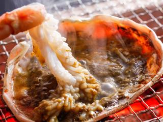 Syofuso - Shinonsen - 2