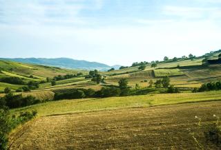 LE PITTURE casa di campagna - Filiano - 1
