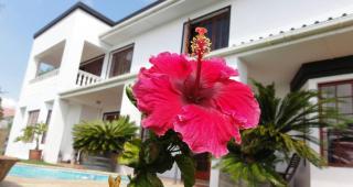 Helderberg Guesthouse - 0