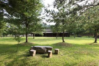 Zen and Pine Resort - Shuili - 1
