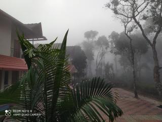 COFFEE NEST COORG - Somvārpet - 5