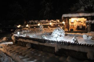 New Bakalov House - 1