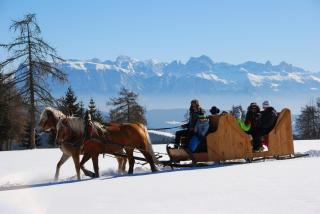 Oberfahrerhof - 9