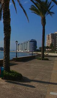 Apartamentos Mar Azul en La Manga - La Manga del Mar Menor - 7