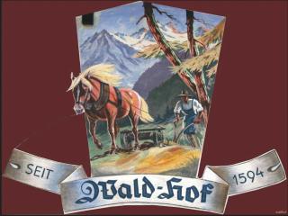 Waldhof - Umhausen - 6