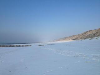 Hof Aan Zee - Dishoek - 7