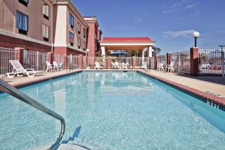 Holiday Inn Express Hotel & Suites Forest by IHG - Forest - 0