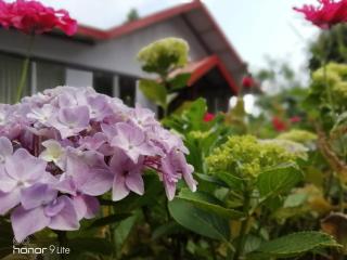 Pine Haven Resorts - 7